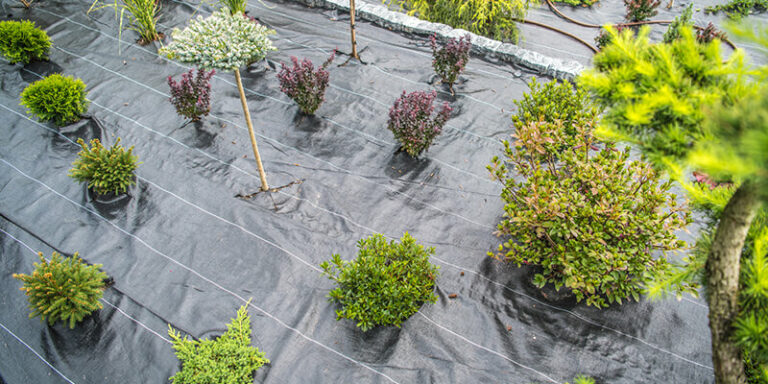 Best Weed Barrier Fabric For Garden - An Ultimate Guide