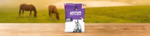 horse feeding bags