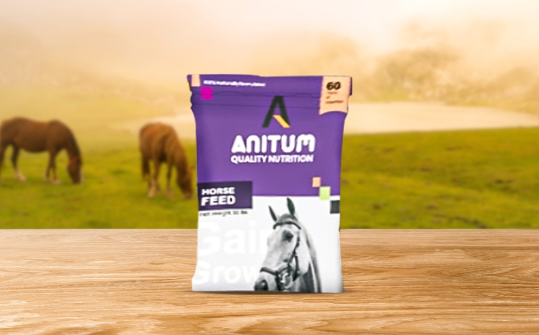 horse feeding bags