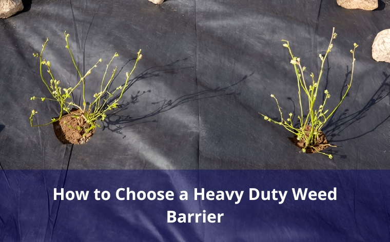 heavy duty weed barrier