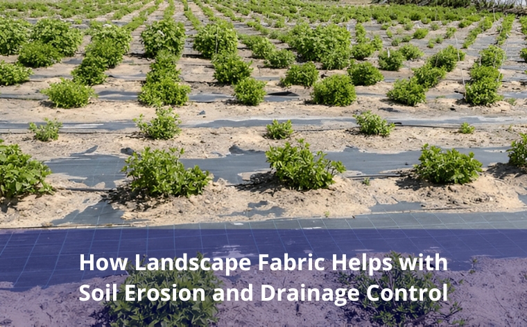 landscape fabric for drainage